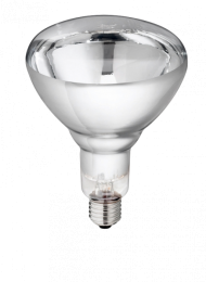 Lamp250WWitHardGlasPhilips