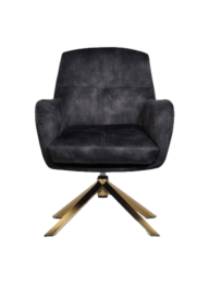 FauteuilClevelandgrijsgoudpolyester