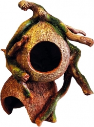 DecococonuthidesRepto-Repto