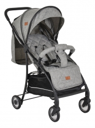 CangarooLondonGreyWandelwagen110912