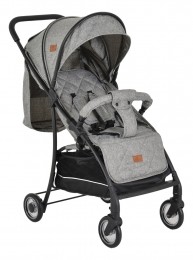 CangarooLondonGreyWandelwagen110912