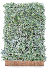 KantklaarhaagHederahelixGlacier180cm-Mobilane