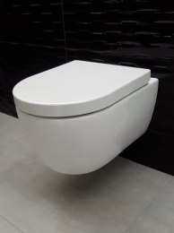 LambiniDesignsSubrandloostoiletpotinclsoftclosezitting