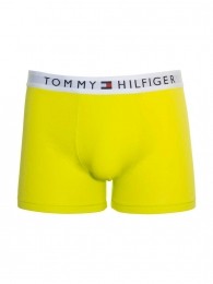 TommyHilfiger-TRUNK-ZIRMaatM