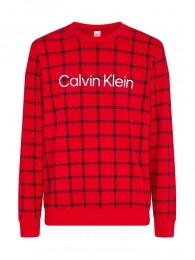 CalvinKlein-Sweatshirt-LogoGraphic-VGMMaatM