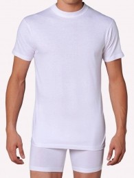 HOM-Shirt-Harro-M015MaatM