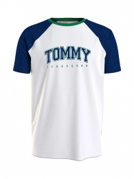 TommyHilfiger-T-shirt-CrewNeck-Logo-C5FMaatM