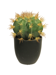 SOGoldenBarrelcactuswpotgreen23cmkunstbloem-Novanature