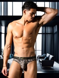 AndrewChristian-Brief-LaurelLeaf-MultiMaatS
