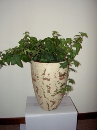 Bloempothandgevormd