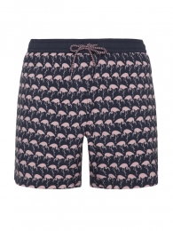 ProtestPrtohlanderZwemshortHerenXL