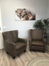 Setvan2lerenoorfauteuilsmethoutenpoten-bruinleer-EchtleerLandelijkontdekdeveleLeersoortenenKleurenbijShopX