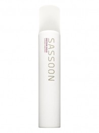 SassoonMotionHold300ml