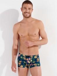 HOM-SwimShorts-Flamingo-navyMaat2XL