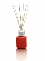 MrMrsFragranceDiffuserWalterrood