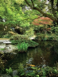 Vijver50x70cmTuinschilderijCustomize-it-Customizeit