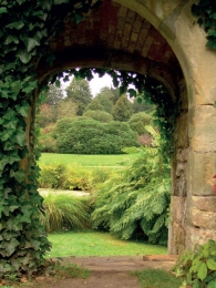 Doorkijktuin50x70cmTuinschilderijCustomize-it-Customizeit