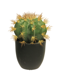 SOGoldenBarrelcactuswpotgreen23cmkunstbloemNovaNature-Novanature
