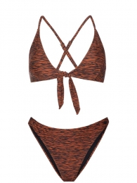ProtestCaboBikini
