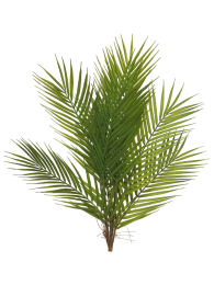 Arecapalmbundlegreen60cmNovaNature-Novanature