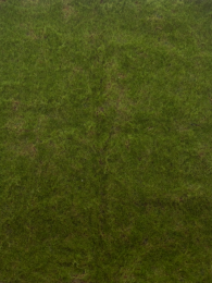 Mossmatgreen100x100cmkunstbloemErutanAvon-Erutanavon