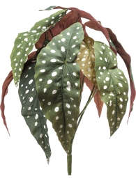 Begoniamaculatabush33cm12lvskunstbloemzijdenepbloemEmerald-Emerald