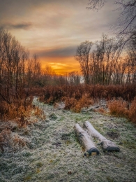 Tuinschilderijwintersunset70x50Customize-it-Customizeit
