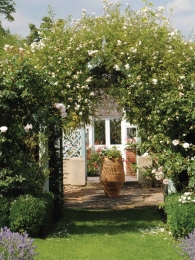 Boogkruik50x70cmTuinschilderijCustomize-it-Customizeit