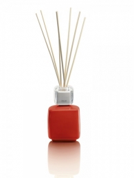 MrMrsFragranceDiffuserWalterrood