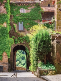 Klimoppoes50x70cmTuinschilderijCustomize-it-Customizeit