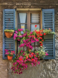 BlueShutters50x70cmTuinschilderijCustomize-it-Customizeit