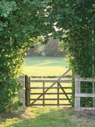 Meadow50x70cmTuinschilderijCustomize-it-Customizeit