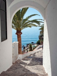 Malagaboog50x70cmTuinschilderijCustomize-it-Customizeit