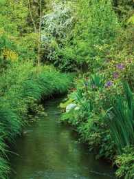 Beekje50x70cmTuinschilderijCustomize-it-Customizeit