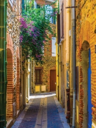 Steegschaduw50x70cmTuinschilderijCustomize-it-Customizeit