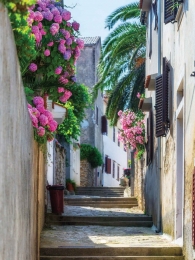 SteegSardinie50x70cmTuinschilderijCustomize-it-Customizeit