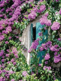 Bloemenluiken50x70cmTuinschilderijCustomize-it-Customizeit