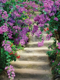 Bloementrap50x70cmTuinschilderijCustomize-it-Customizeit