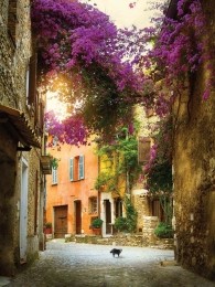 Bougainvillepoes50x70cmTuinschilderij-Customizeit