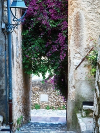 Bougainvillesteeg50x70cmTuinschilderij-Customizeit