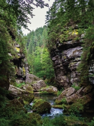 Oerwoudbeek70x50cmTuinschilderijCustomize-it-Customizeit