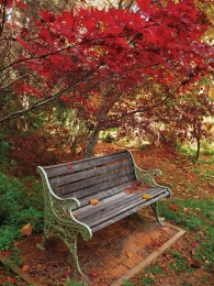 Bankje50x70cmTuinschilderijCustomize-it-Customizeit