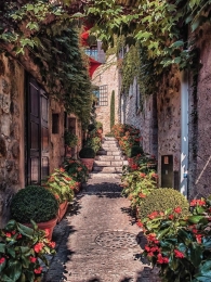 SaintPaul50x70cmTuinschilderijCustomize-it-Customizeit