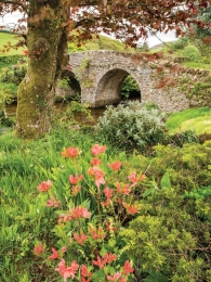 Boogbloem50x70cmTuinschilderijCustomize-it-Customizeit