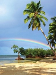 Tropenregenboog50x70cmTuinschilderijCustomize-it-Customizeit