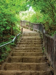 Oudetrap50x70cmTuinschilderijCustomize-it-Customizeit