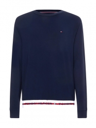 TommyHilfiger-Sweatshirt-THLogo-DW5