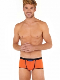 HOM-TrunkHO1-PlumeUp-oranje