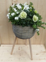 Rietenplantenbakgrijsoppotenmetzomerbloeierswith55cm-Warentuinnatuurlijk