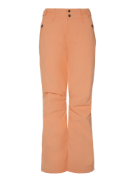 ProtestWCinnamonSnowpants